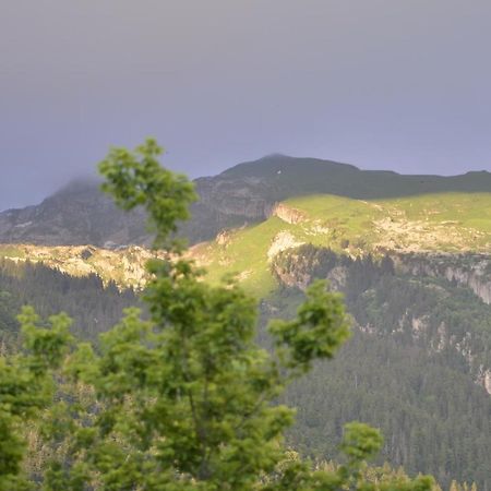 Domaine Du Grand Tetras Samoens Διαμέρισμα Εξωτερικό φωτογραφία