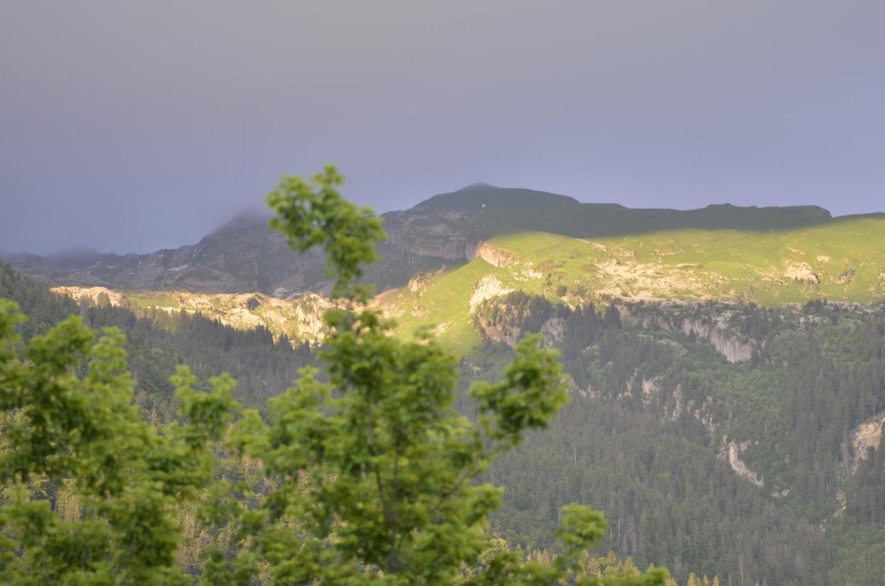 Domaine Du Grand Tetras Samoens Διαμέρισμα Εξωτερικό φωτογραφία