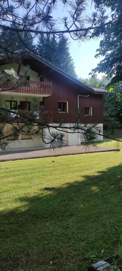 Domaine Du Grand Tetras Samoens Διαμέρισμα Εξωτερικό φωτογραφία