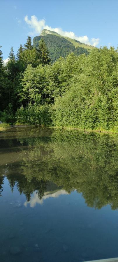 Domaine Du Grand Tetras Samoens Διαμέρισμα Εξωτερικό φωτογραφία