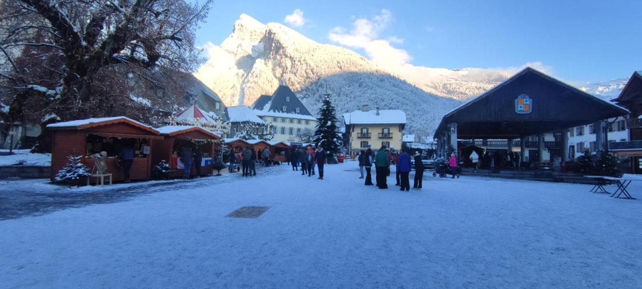 Domaine Du Grand Tetras Samoens Διαμέρισμα Εξωτερικό φωτογραφία